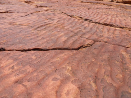 Did you know Australia used to have an inland ocean? The proof is in the rocks!